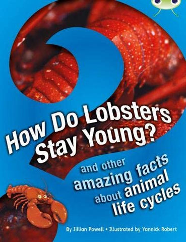 Bug Club: How Do Lobsters Stay Young? and other amazing facts about animal life cycles Brown A