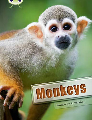 Bug Club: Monkeys White A