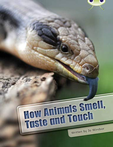 Bug Club: How Animals Smell, Taste and Touch White A