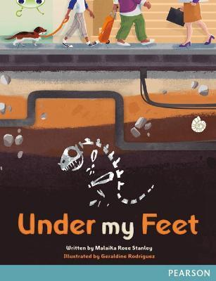 Bug Club Comprehension Y5 Under My Feet