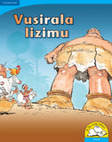 Vusirala lizimu Big Book version (Siswati)