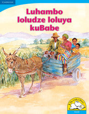 Luhambo loludze loluya kuBabe Big Book version (Siswati)