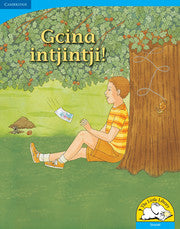 Gcina intjintji! Big Book version (Siswati)