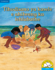 Tlhodisano ya kasele e ahilweng ka lehlabathe (Big Book version)