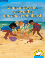 Umncintiswano wekwakha tincaba tenhlabatsi Big Book version (Siswati)