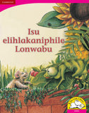 Isu elihlakaniphile Lonwabu (Big Book version)