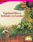 Kgakantsho e Bohlale ya Leobu (Big Book version)