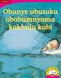 Obunye ubusuku obabumnyama kakhulu kabi (Big Book version)