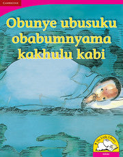 Obunye ubusuku obabumnyama kakhulu kabi (Big Book version)