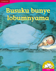 Busuku bunye lobumnyama (Big Book version)