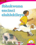 Ibhokwana encinci elahlekileyo (Big Book version)