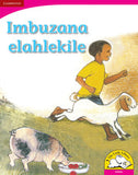 Imbuzana elahlekile (Big Book version)