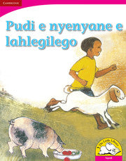 Pudi ye nyenyane ye e lahlegilego (Big Book version)