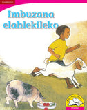 Imbuzana elahlekileko (Big Book version)