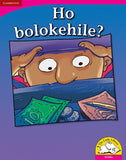 Ho bolokehile? Big Book version (Sesotho)