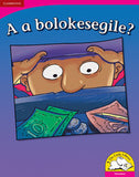 A a bolokesegile? (Big Book version)