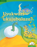 Uyakwazi ukujubalaza? Big Book Version (IsiXhosa)