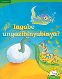 Ingabe ungazibinyabinya? Big Book Version (IsiZulu)