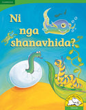 Ni nga shanavhida? Big Book version (Tshivenda)