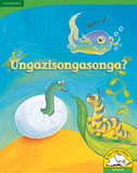 Ungazisongasonga? Big Book Version (IsiNdebele)