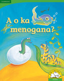 A o ka menogana? Big Book version (Setswana)