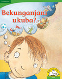 Bekunganjani ukuba? Big Book Version (IsiZulu)