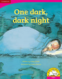One dark, dark night (Big Book version)