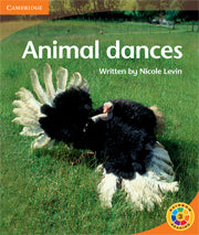 Animal Dances
