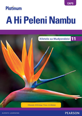 Platinum A Hi Peleni Nambu Grade 11 (Teacher's Guide)