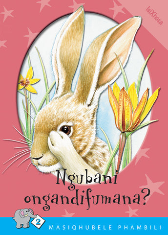 MASIQHUBELE PHAMBILI SERIES LEVEL 2 BOOK 3 NGUBANE