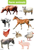 CHART: SHUTERS HAND IN HAND GR R: FARM ANIMALS A2