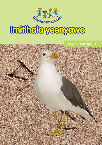 HAND IN HAND GRADE R (NDEBELE) READER 10