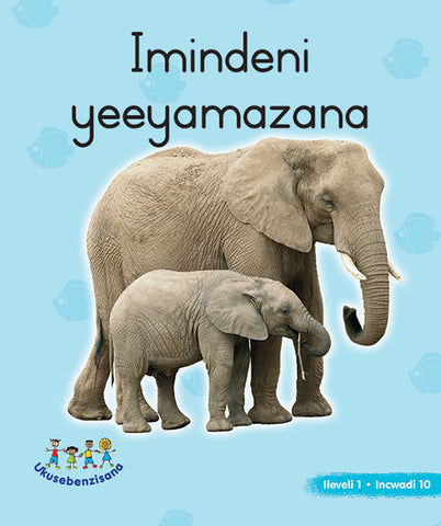 HAND IN HAND GRADE R (NDEBELE) PICTURE BK LEVEL 1 BK 10