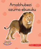 HAND IN HAND GRADE R (NDEBELE) PICTURE BK LEVEL 2 BK 10