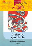 ABAFUNDAYO ZIINKOKHELI IBANGA 5: ZISEBENZA NJANI IZINTO