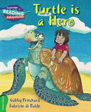 Turtle is a Hero Green Band