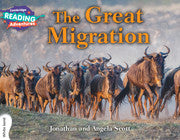The Great Migration White Band