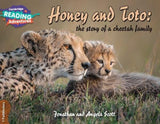 Honey and Toto: The Story of a Cheetah Family 1 Pathfinders