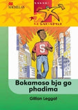 BABADI KE BAETAPELE KREITI 4 BOKAMOSO BJA GO PHADIMA