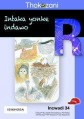 THOKOZANI IBANGA R INCWADI 34: INTAKA YONKE INDAWO