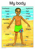 MY BODY