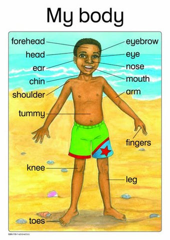 MY BODY