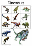 DINOSAURS