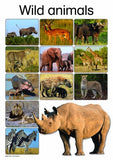 WILD ANIMALS