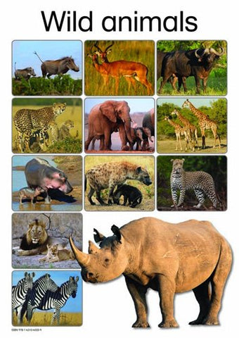 WILD ANIMALS