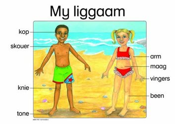 MY LIGAAM