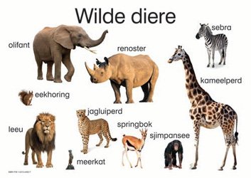 WILDE DIERE