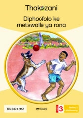 THOKOZANI SESOTHO GRADE 3: DIPHOOFOLO KE METSWALLE YA RONA