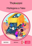 THOKOZANI SEPEDI GRADE 3: MAHLAJANA A TEBO