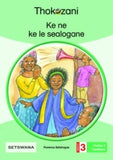 THOKOZANI SETSWANA GRADE 3: KE NE KE LE SEALOGANE